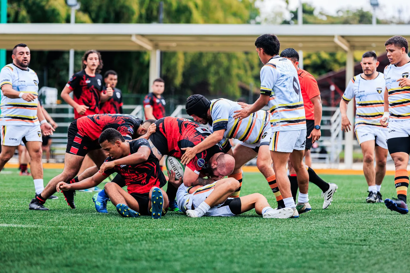 Sports photography illustrating team life